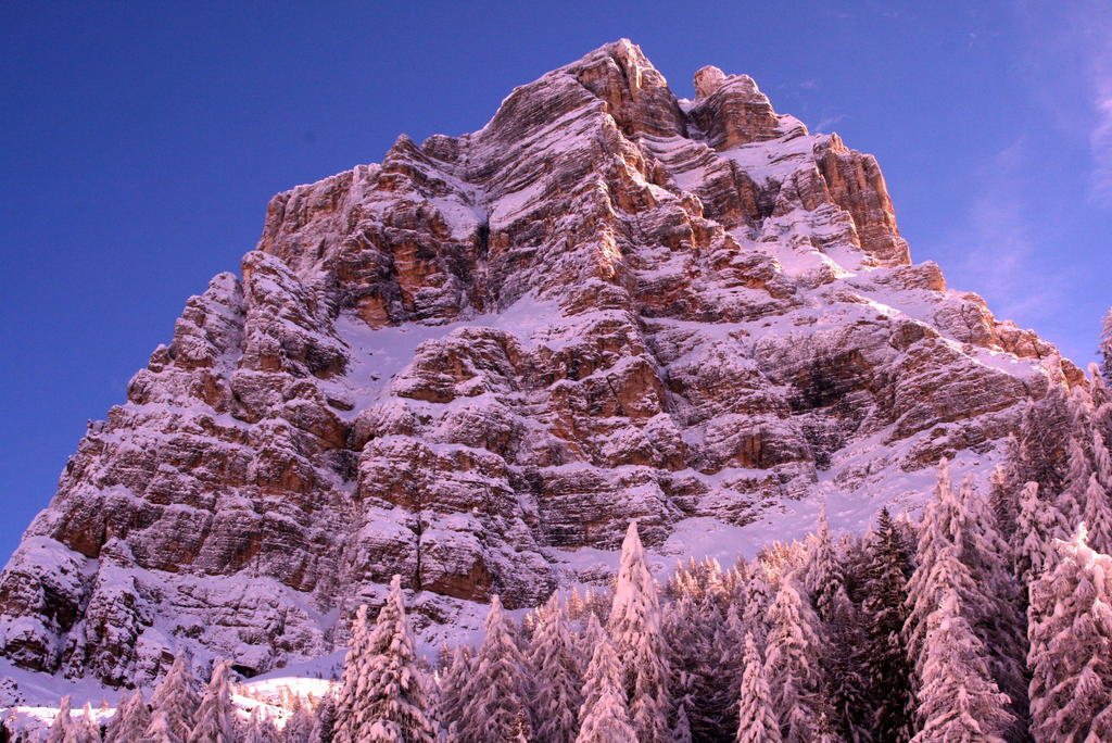 Rifugio Passo Staulanza Hotel Zoldo Alto Kültér fotó