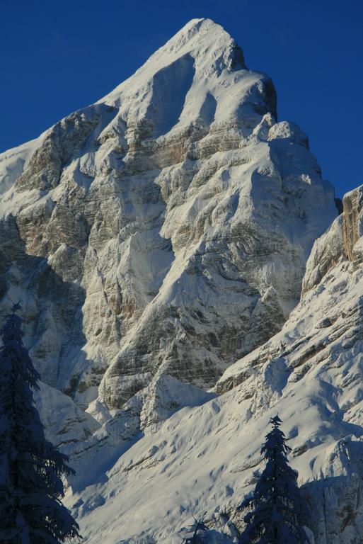 Rifugio Passo Staulanza Hotel Zoldo Alto Kültér fotó